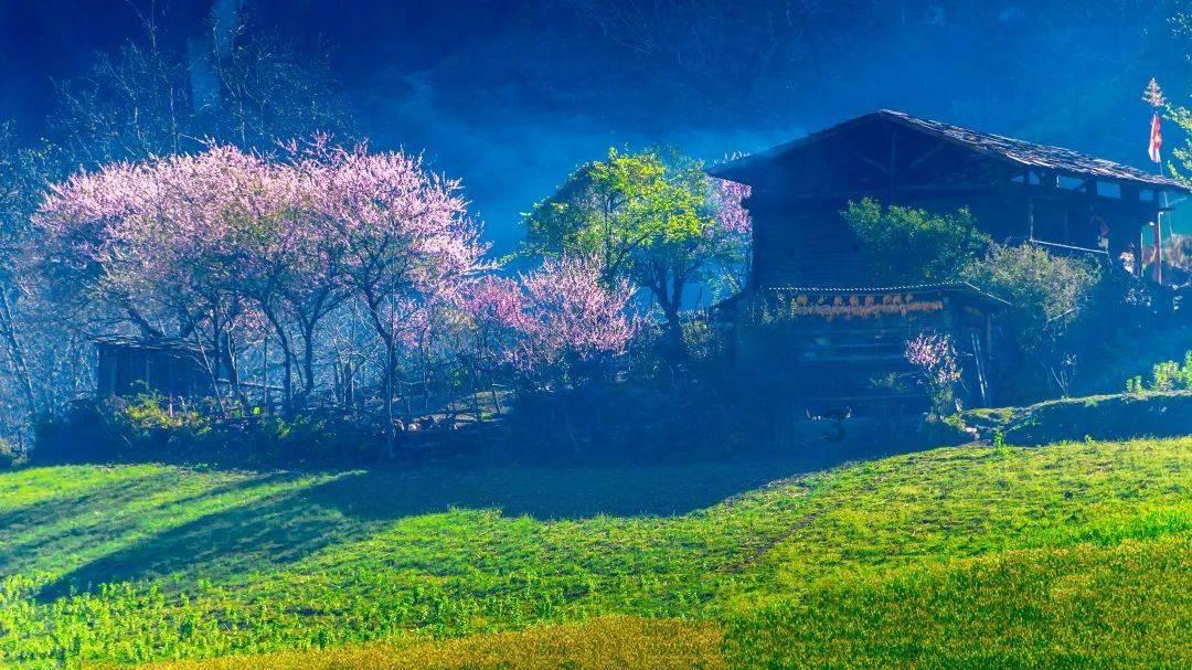 疯狂的麦克斯